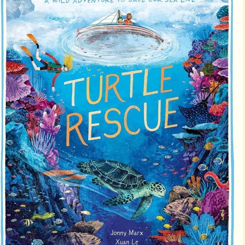 Turtle Rescue