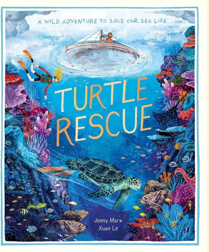 Turtle Rescue